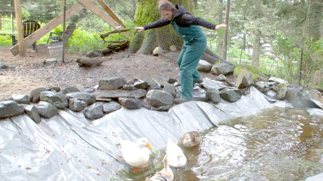 Dr. Oakley, Yukon Vet