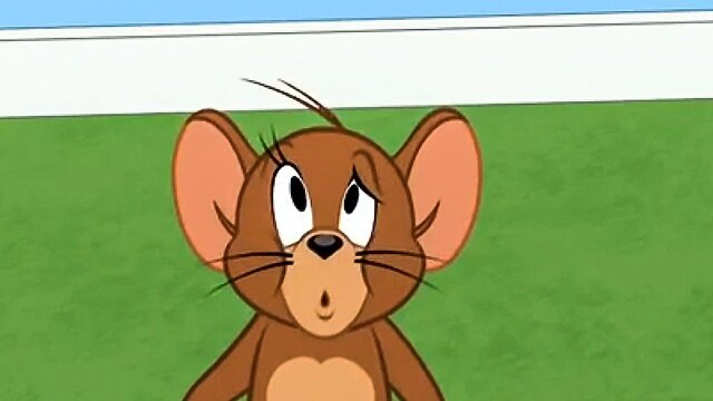 The Tom and Jerry Show