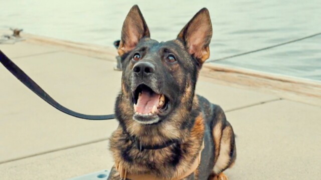 Contraband: Seized at Sea