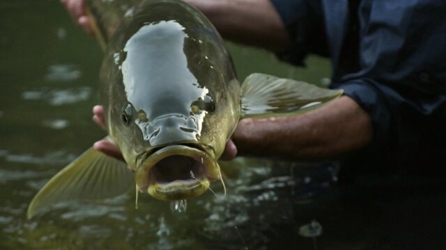 Jeremy Wade's Mighty Rivers