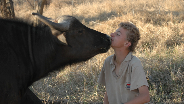 Unlikely Animal Friends