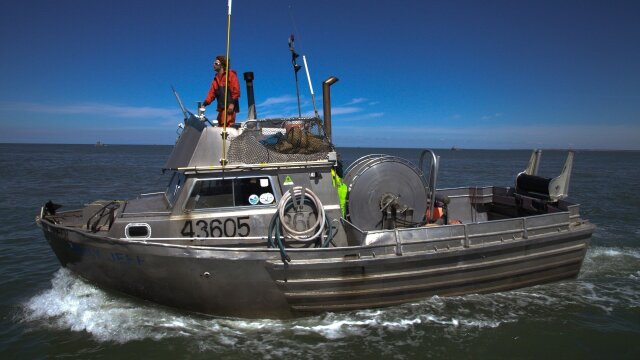 Alaska: Battle on the Bay