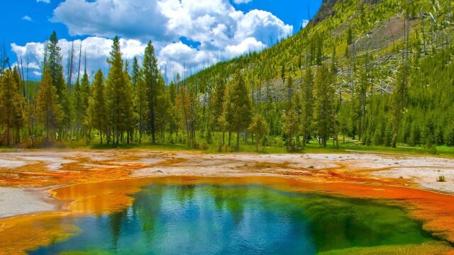 Planet Earth: Yellowstone