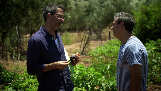 Ottolenghi's Mediterranean Feast