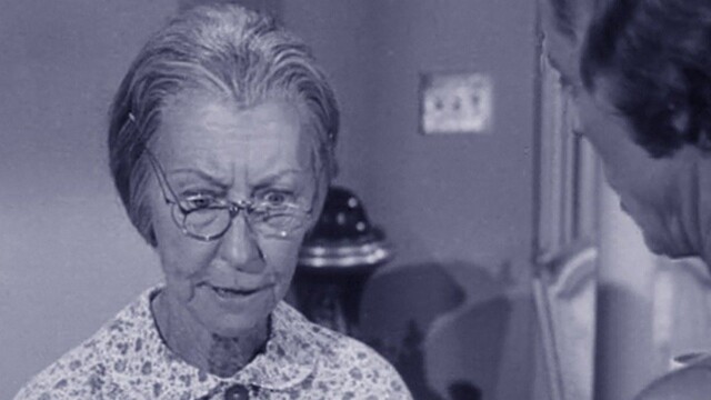 Best of The Beverly Hillbillies