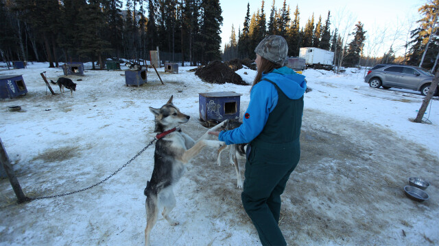 Dr. Oakley, Yukon Vet