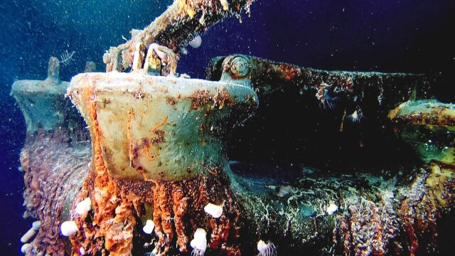 Abandoned: Expedition Shipwreck