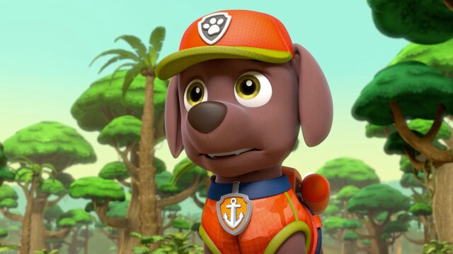 PAW Patrol