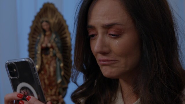 La rosa de Guadalupe