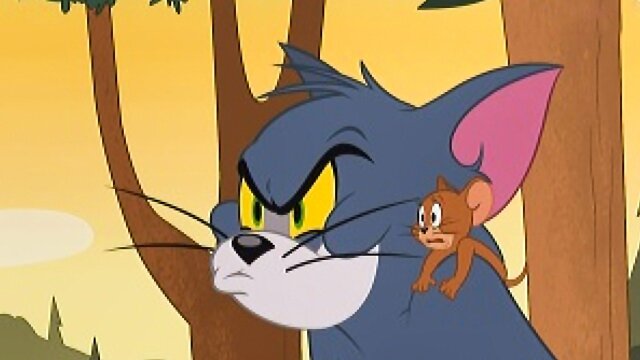 The Tom and Jerry Show