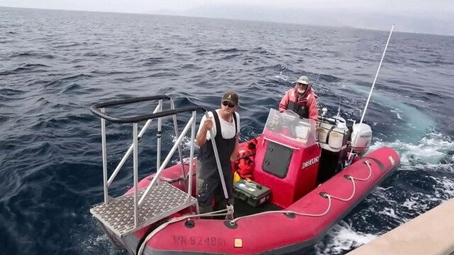 Ocean Mysteries With Jeff Corwin