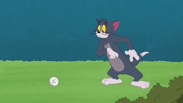 The Tom and Jerry Show