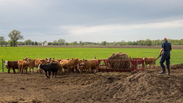 The Incredible Dr. Pol