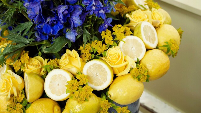 J Schwanke's Life in Bloom
