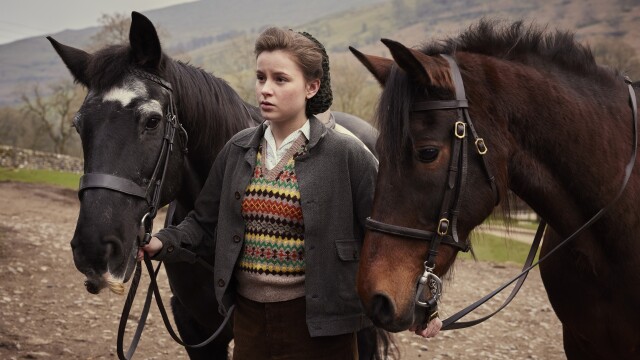 All Creatures Great and Small