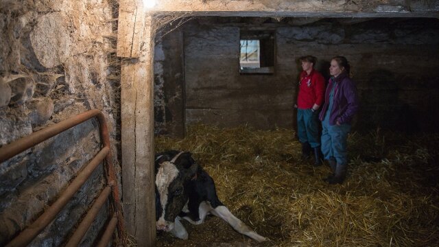 The Incredible Dr. Pol