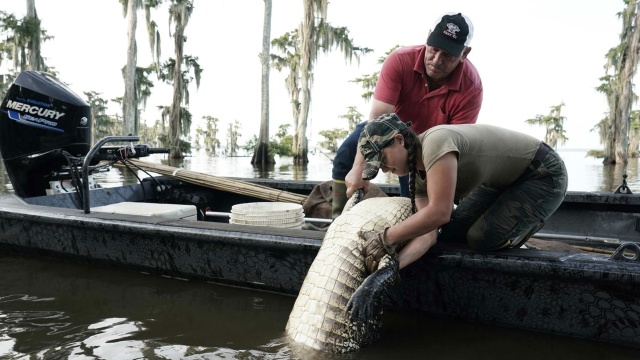 Swamp People