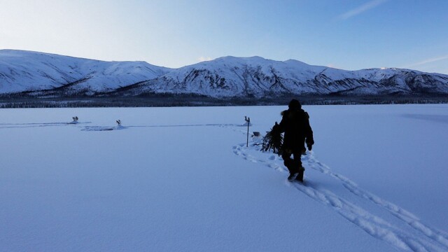 Life Below Zero