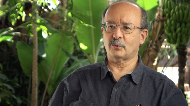 The Way Out with Jurriaan Kamp