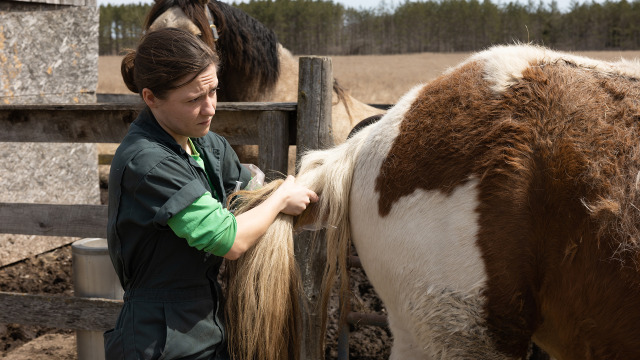 The Incredible Dr. Pol