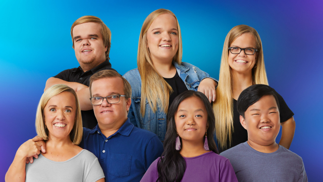 7 Little Johnstons