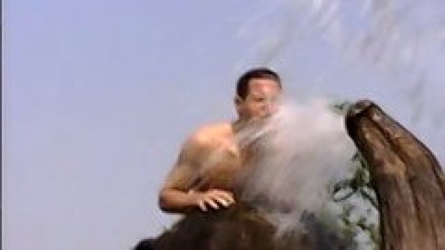 The Jeff Corwin Experience