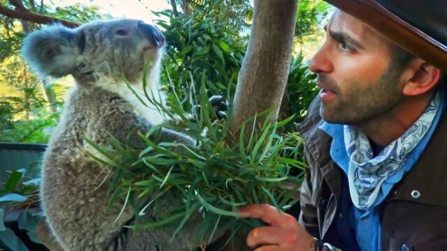 Coyote Peterson: Brave the Wild