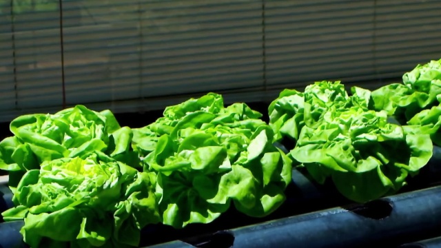 Xploration Nature Knows Best