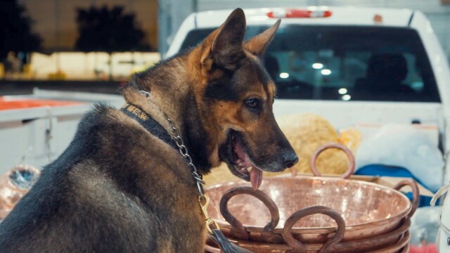 Contraband: Seized at the Border