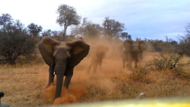 Humans Vs. Everything