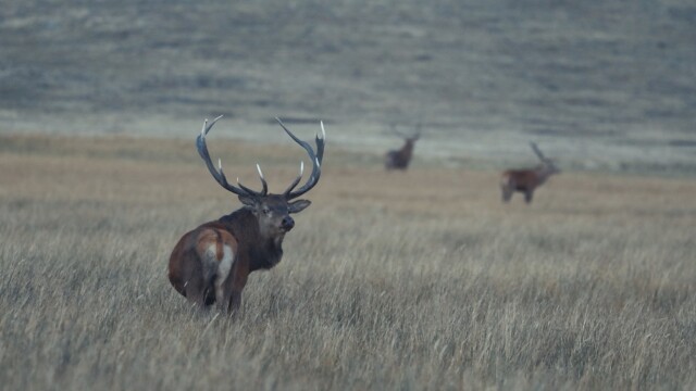 Into High Country