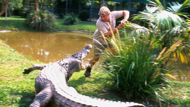 The Crocodile Hunter