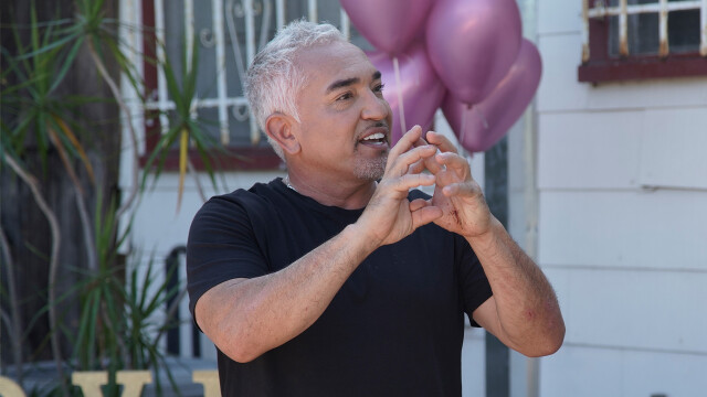 Cesar Millan: Better Human Better Dog