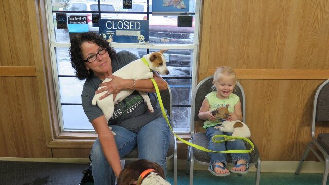 The Incredible Dr. Pol