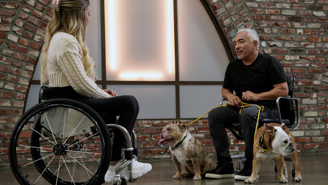 Cesar Millan: Better Human Better Dog