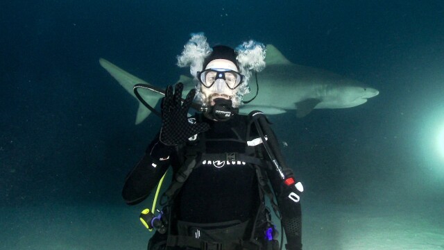 Shark Dive TV