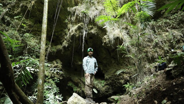 Lost Treasures of the Maya