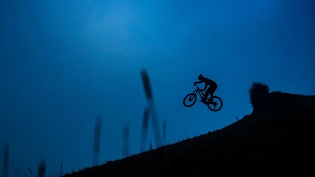 Rob Warner's Wild Rides