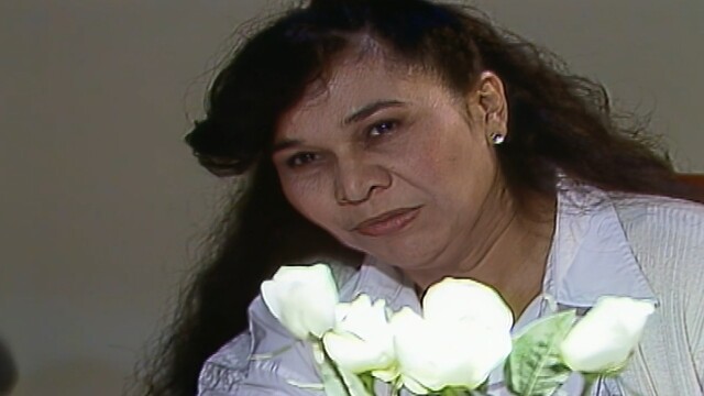 Vale a Pena Ver de Novo - A Viagem