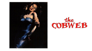 The Cobweb