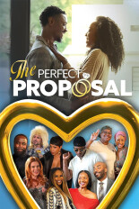 The Perfect Proposal