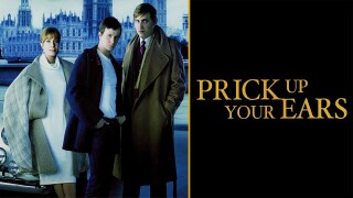 Prick Up Your Ears
