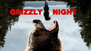 Grizzly Night