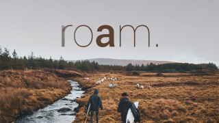 Roam