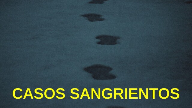 Casos sangrientos