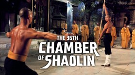 The 36th Chamber of Shaolin