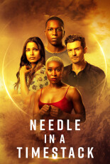 Needle in a Timestack