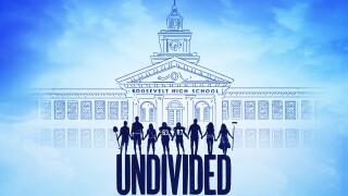 UnDivided