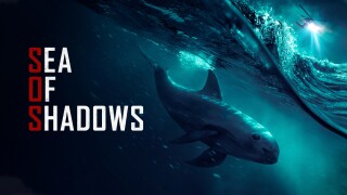 Sea of Shadows