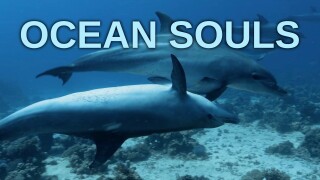 Ocean Souls